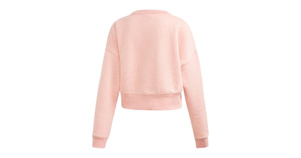 COEEZESWEATCROP