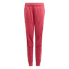 TRACKPANT