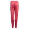 TRACKPANT