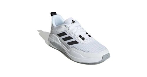 TRAINER V