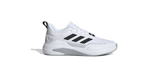 TRAINER V