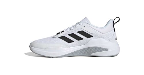 TRAINER V