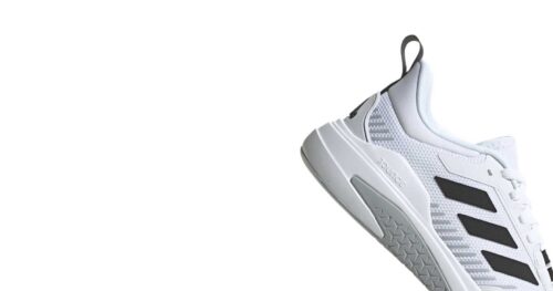 TRAINER V