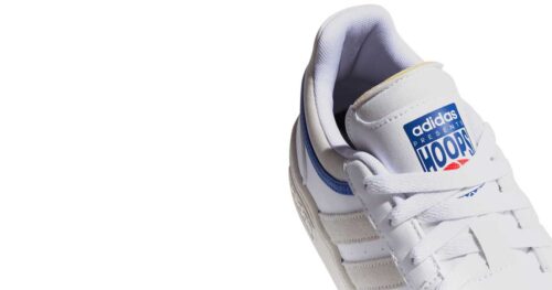 HOOPS 3.0
