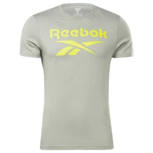 RI BIG LOGO TEE
