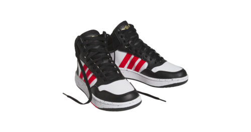 HOOPS 3.0 MID K
