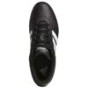 HOOPS 4.0