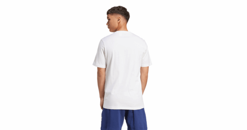 M COLLEGIATE T