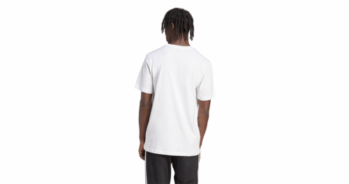 M PENNANT T