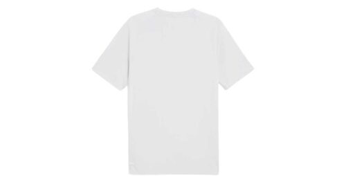 PUMA EVOSTRIPE TEE