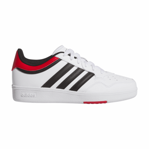 HOOPS 4.0 J