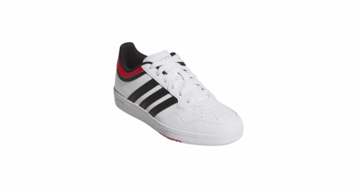 HOOPS 4.0 J