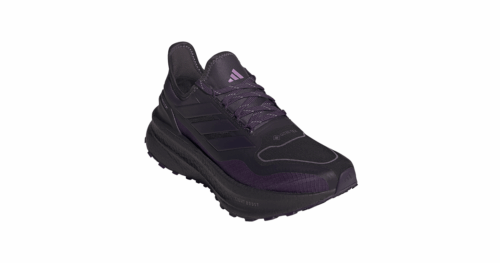 ULTRABOOST 5 GTX W