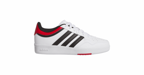 HOOPS 4.0 J