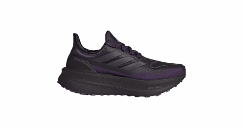 ULTRABOOST 5 GTX W